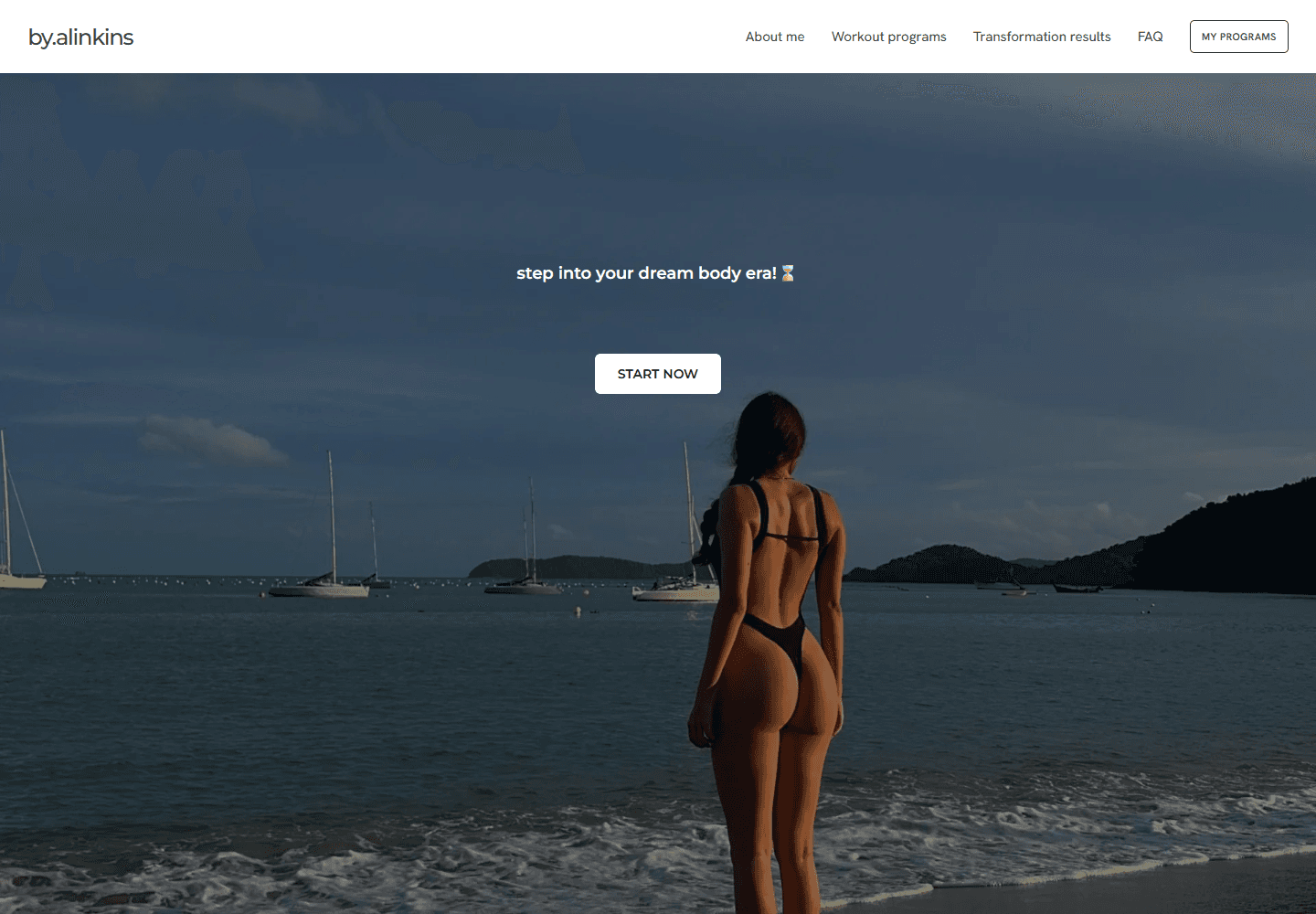 by.alinkins fitness and training platform homepage